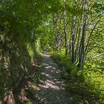Il Borgo Dei Celti ファームステイ フィウマルボ