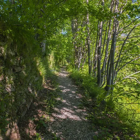 Il Borgo Dei Celti Vakantieboerderij Fiumalbo