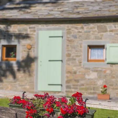 Il Borgo Dei Celti Фермерский дом