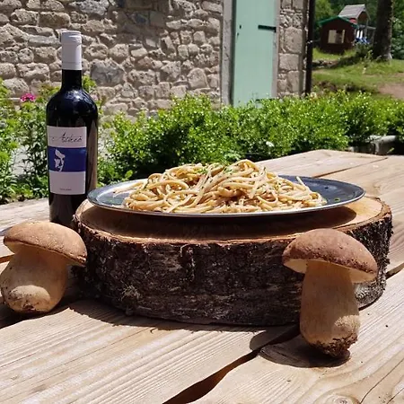 Фермерский дом Il Borgo Dei Celti Фьюмальбо