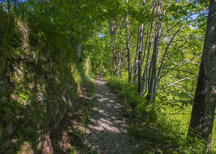 Il Borgo Dei Celti Alloggio per agriturismo Fiumalbo