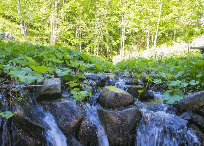 Il Borgo Dei Celti *