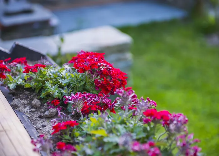 Alloggio per agriturismo Il Borgo Dei Celti *